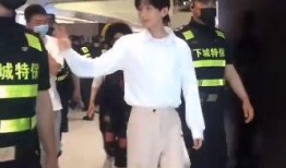 成毅爆料最新动态视频播放,揭秘幕后故事与精彩瞬间